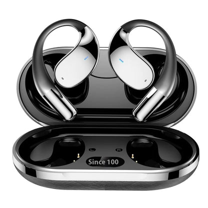 OmniBuds™ - AI translator Earbuds 144 languages